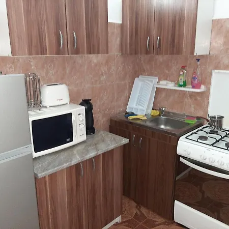 Garsoniera Razvan Apartmán